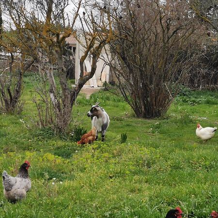 La Petite Maison Arles Eksteriør billede